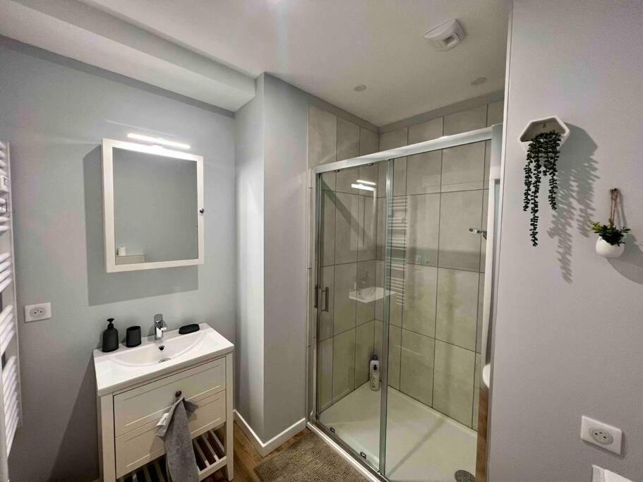 Appartement Climatise / Centre-Ville / 4 Personnes Μπεζανσόν Εξωτερικό φωτογραφία